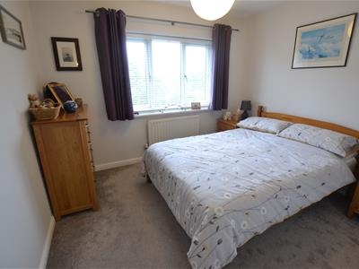 Picture 15